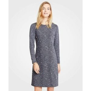 Ann Taylor Shift Dress 8 Pearlized Long Sleeve